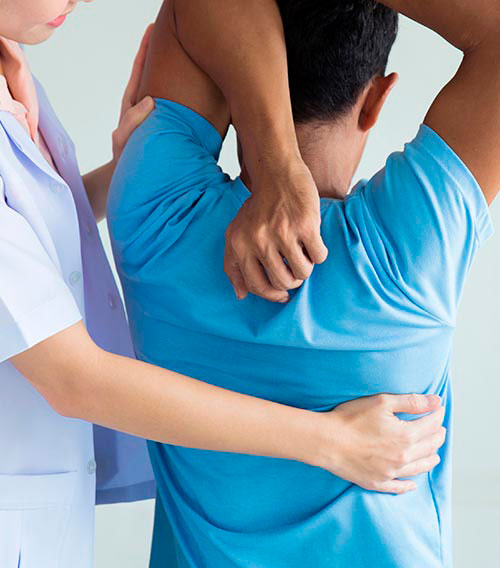  Diplomatura en Terapeuta en Quiropráctica